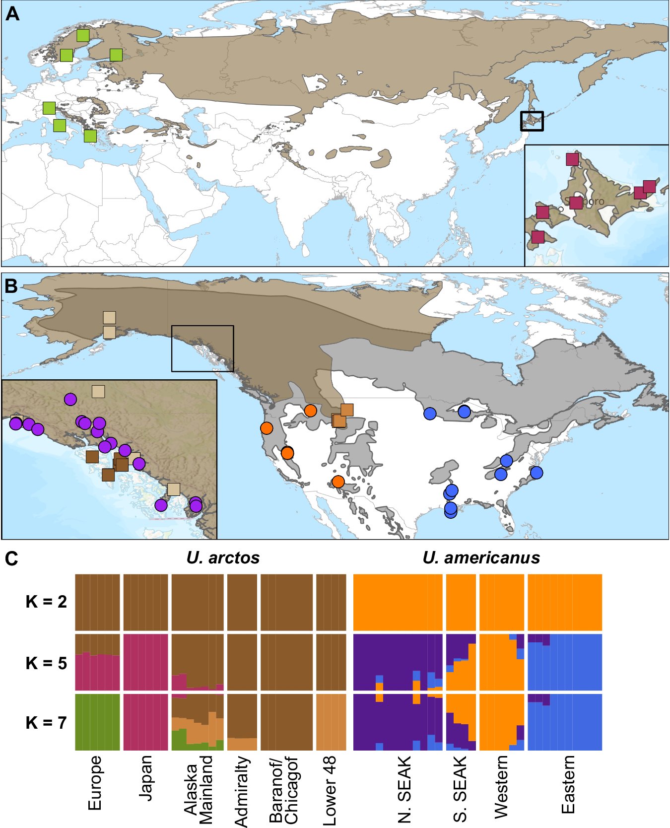 AnnaBruniche's tweet card. Heredity - Phylogeography of introgression: Spatial and temporal analyses identify two introgression events between brown and American black bears