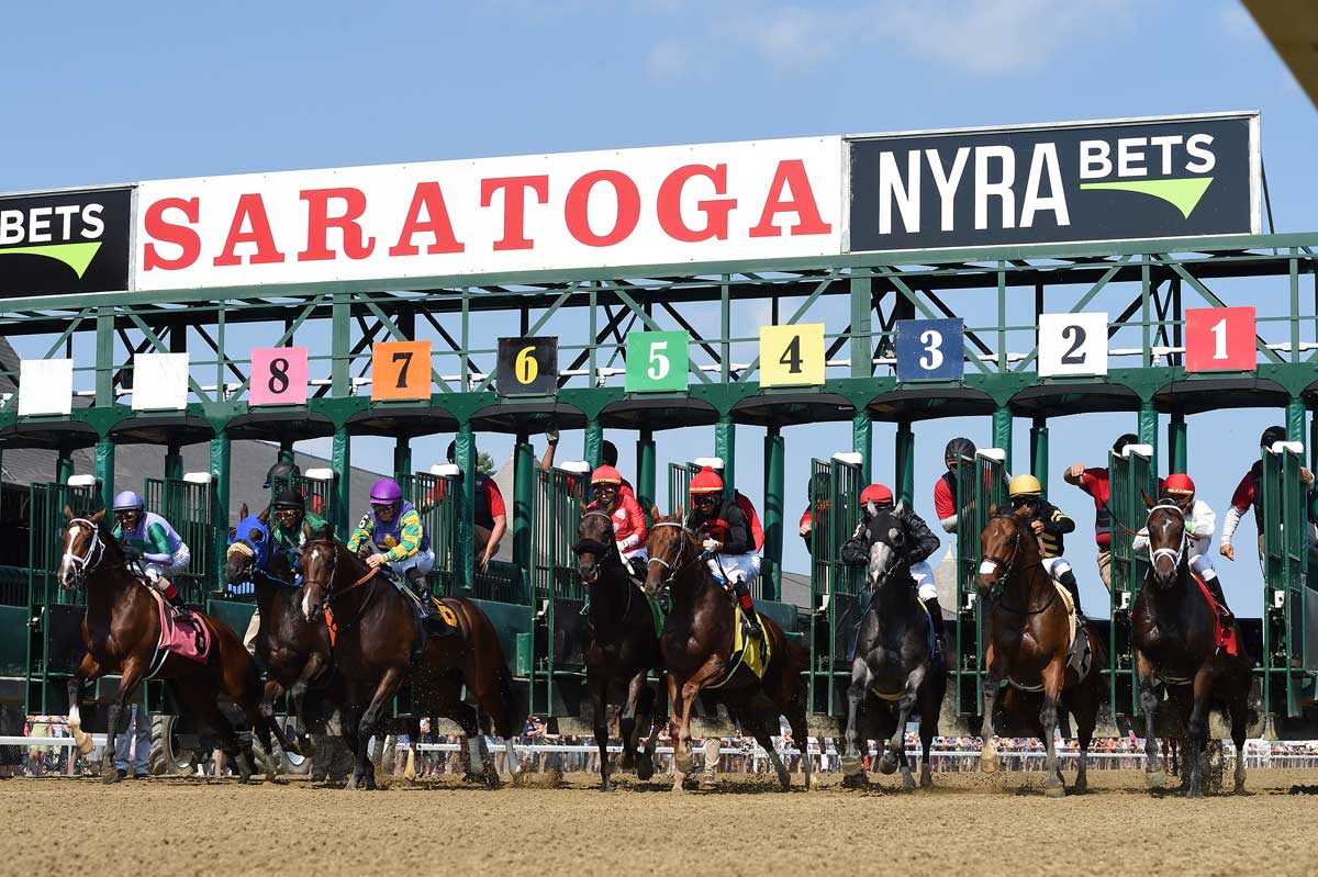 WilliamGotimer's tweet card. SARATOGA SPRINGS — Racing kicks into high gear this weekend at Saratoga Race Course with the return of three-year-old pro tem champion Sovereignty.  Seeking to match his rival Journalism‘s impressive...