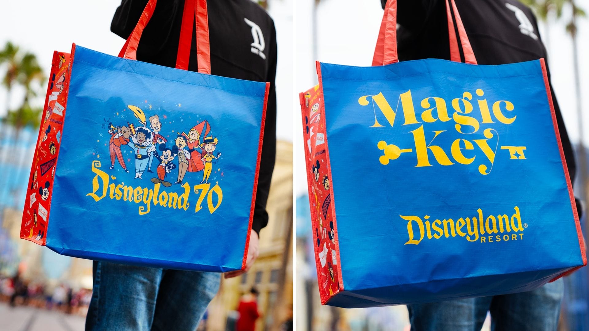 dlnt's tweet card. Disneyland Resort Magic Key holders can get an exclusive, complimentary 70th anniversary tote bag next month.