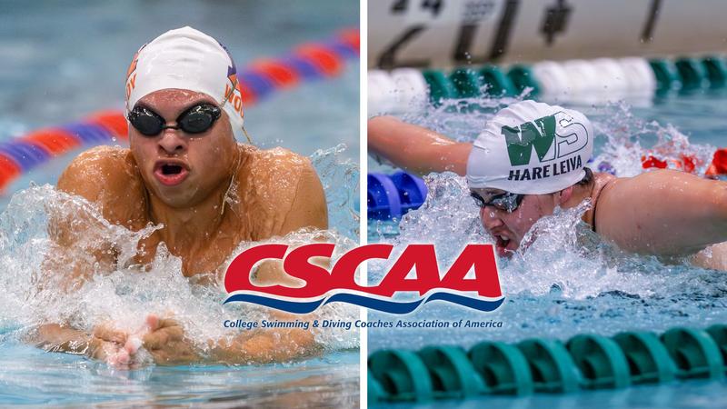HWSAthletics's tweet card. The Hobart and William Smith swimming and diving teams were recently honored as Scholar All-America Teams by the College Swimming and Diving Coaches Association of America for their academic excell...