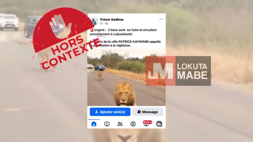 lokutaMABE's tweet card. Un compte Facebook a publié, le 24 mai 2025, une vidéo de 6 secondes montrant deux lions en train de déambuler sur une route asphaltée. La légende affirme que deux lions sont en fuite et circulent...