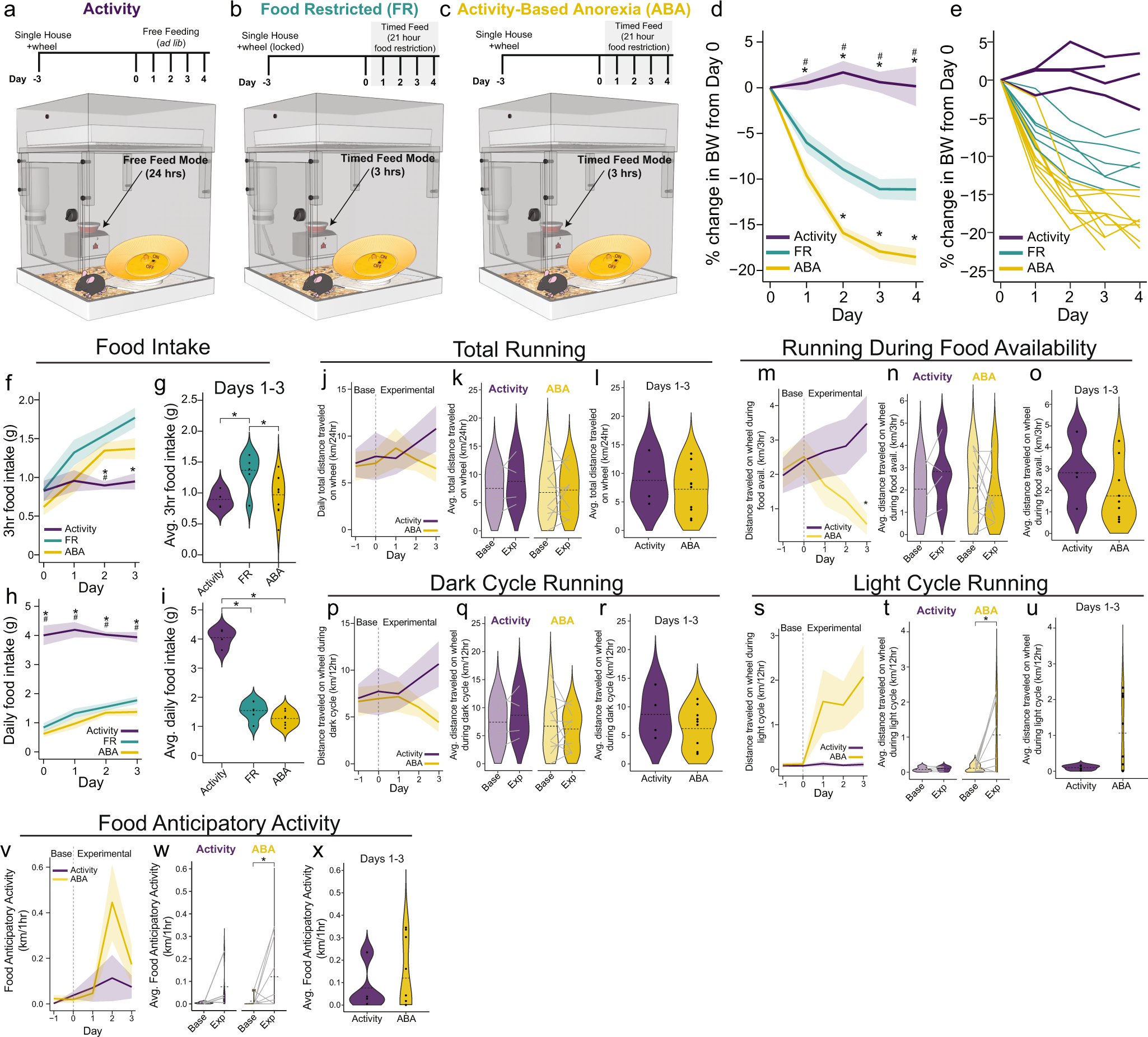 __Matt_Carter__'s tweet card. Molecular Psychiatry - AgRP neurons coordinate the mitigation of activity-based anorexia