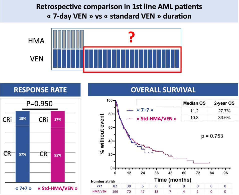 BloodCancerJnl's tweet card. Blood Cancer Journal - Reduced venetoclax exposure to 7 days vs standard exposure with hypomethylating agents in newly diagnosed AML patients