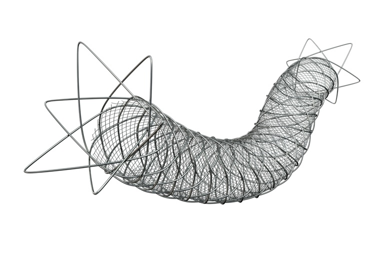 VascularNews's tweet card. Terumo Interventional Systems has announced the early commercial availability of its US Food and Drug Administration (FDA)-approved Roadsaver carotid stent system. Indicated for use with Terumo’s...