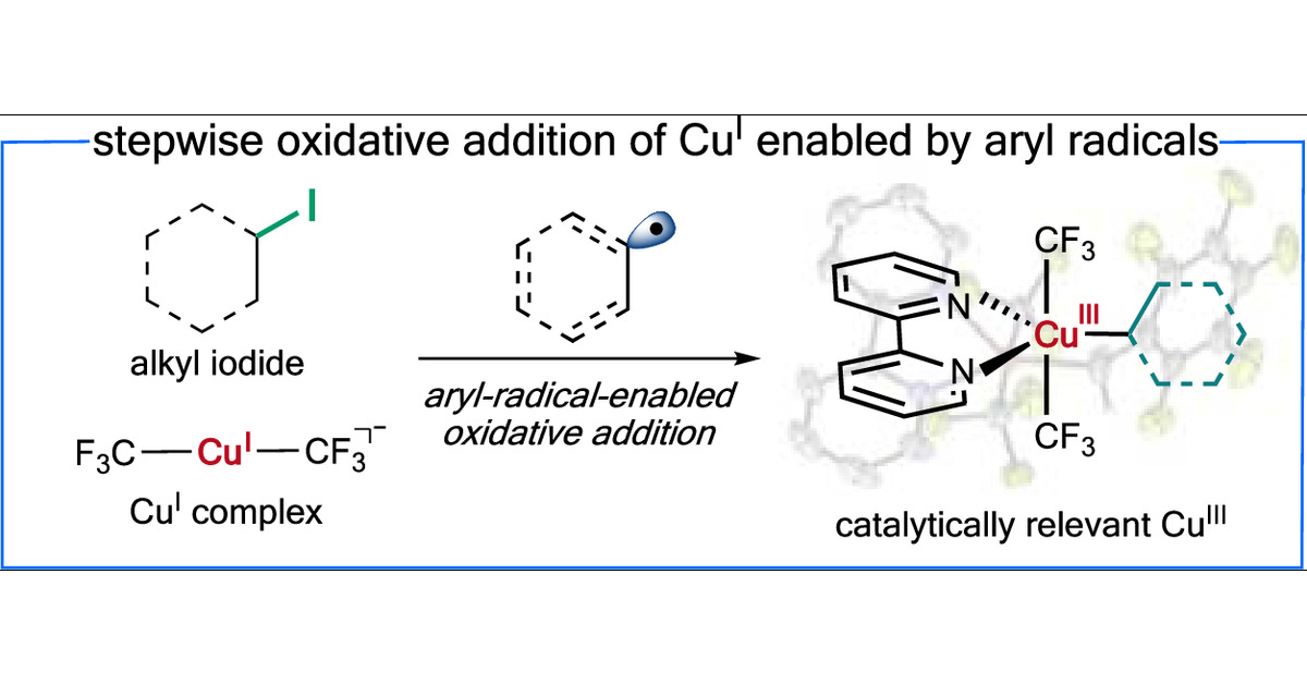 WeiLiuLab's tweet card. Stepwise oxidative addition of copper(I) complexes to form copper(III) species via single electron transfer (SET) events has been widely proposed in copper catalysis. However, direct observation and...