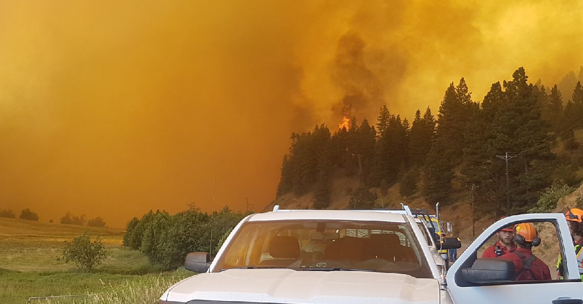 bcndp's tweet card. Our BC NDP government is helping people and communities be more resilient and ready when and if a fire strikes. What can you do to prepare on your own? More than you might think.