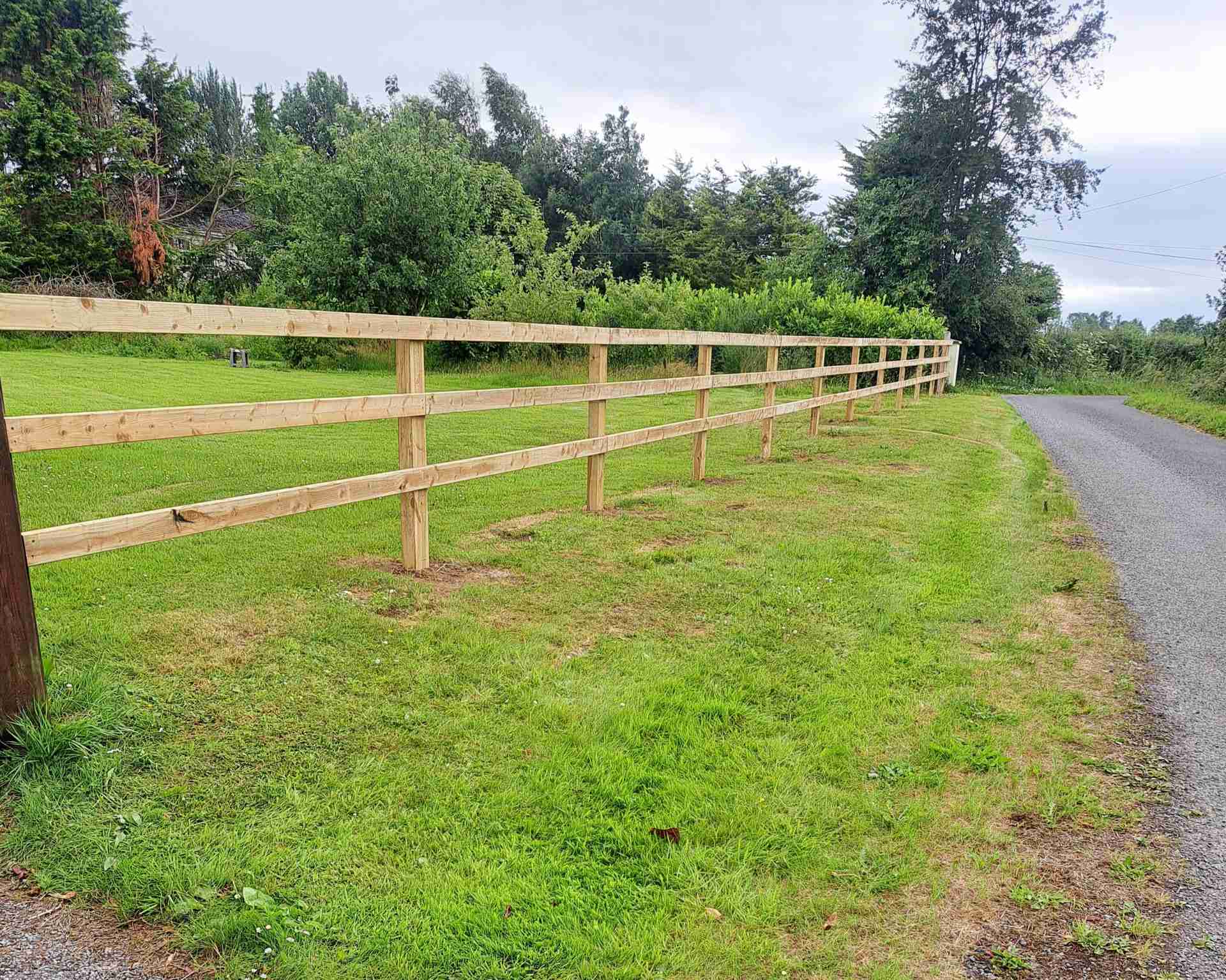 RoscommonPeople's tweet card. This week, the Roscommon People spoke with the experts at AD Gardening and Maintenance Services to get their input on how to achieve your low-maintenance gardening goals.    Q: ‘Maintenance-free...