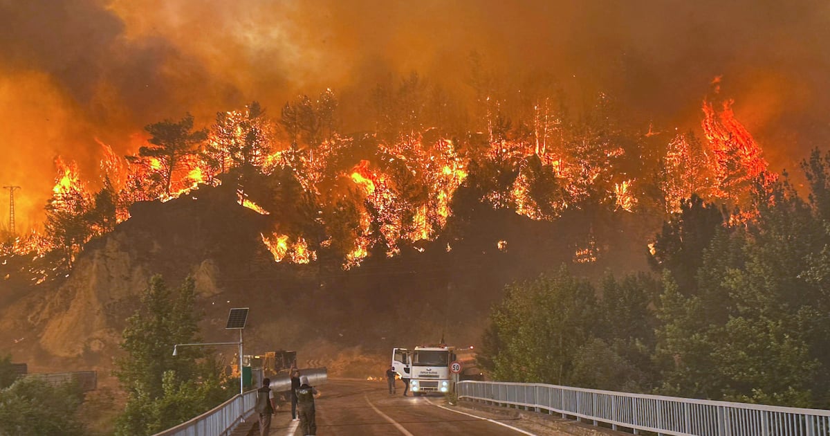 IrishTimesWorld's tweet card. Temperatures reach 50 degrees, as 14 hospitalised in Turkey and 100 homes burned in Cyprus