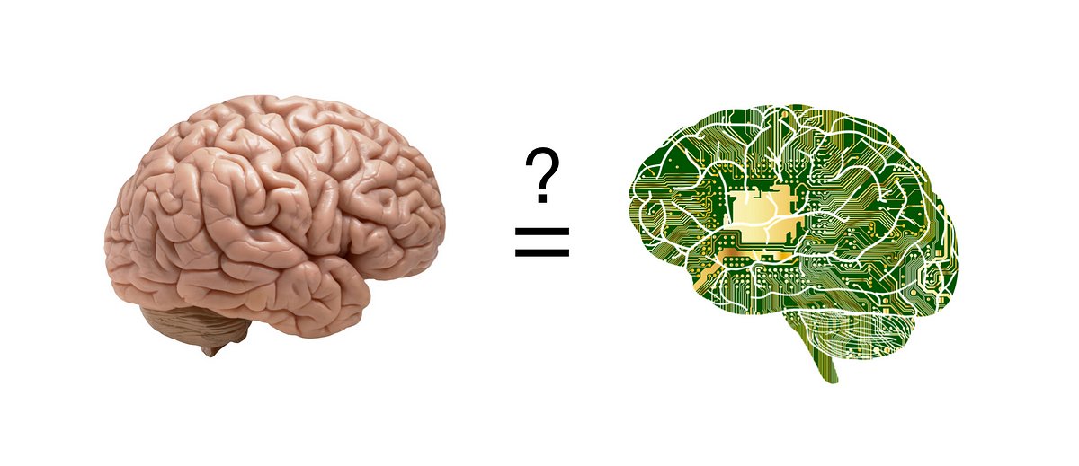 CoreyJMaley's tweet card. Brains might compute, but not digitally.