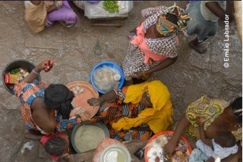 SUNCSN's tweet card. In a world grappling with intersecting crises — from food insecurity to climate shocks — the 2024 SUN Civil Society Network (CSN) Annual Survey offers a timely and compelling look at how civil...