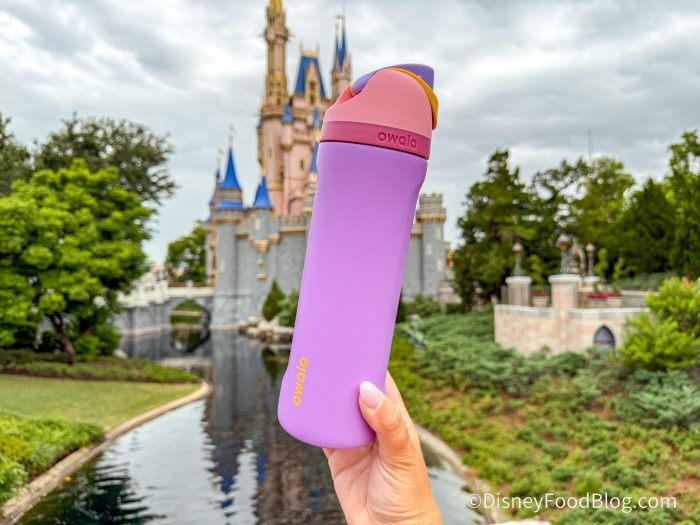 DisneyFoodBlog's tweet card. There are SO many water bottles for Disney World so we're finally putting the best ones to the test!