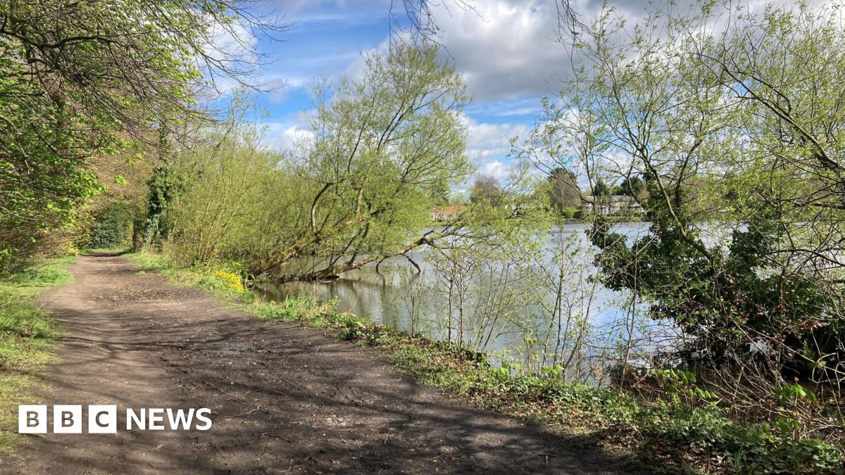 ChesGdnsTrust's tweet card. A group trying to save trees at the Cheshire beauty spot say they have been told their plan is viable.