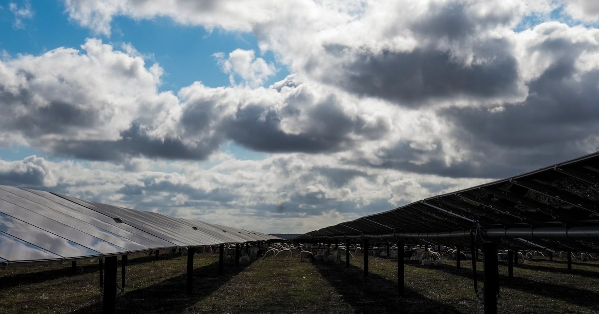 PowerUpTexas's tweet card. Reliability has improved dramatically in the U.S. grid with the most renewable energy – in Texas - and electricity prices there are below the national average.