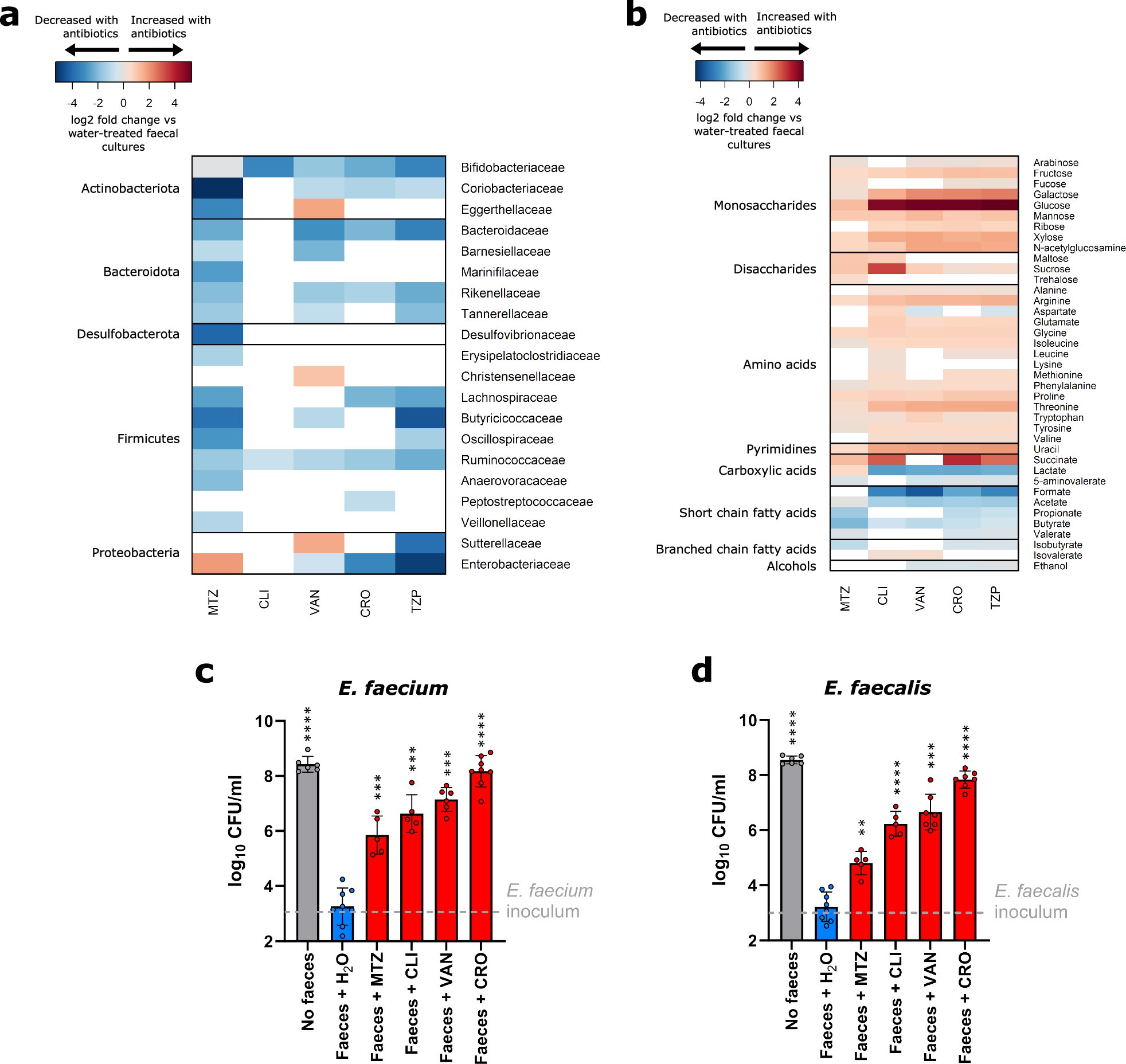 bhmullish's tweet card. Nature Communications - Here, the authors show that vancomycin-resistant enterococci grow in the antibiotic-treated gut microbiome by utilising enriched nutrients in the presence of reduced...