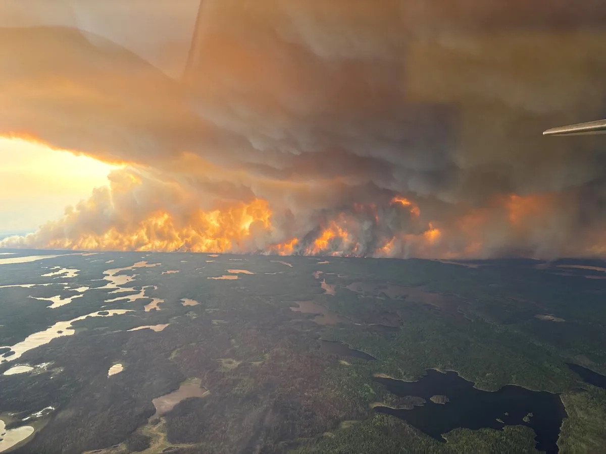 Ilanthia's tweet card. Manitoba has declared a provincewide state of emergency as wildfires continue to threaten communities across the province. An emergency alert issued at around 5:25 p.m. CT Wednesday said the measure...