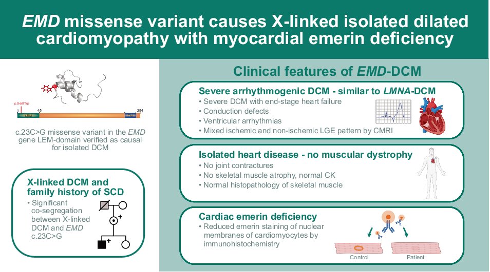 ejhg_journal's tweet card. European Journal of Human Genetics - EMD missense variant causes X-linked isolated dilated cardiomyopathy with myocardial emerin deficiency