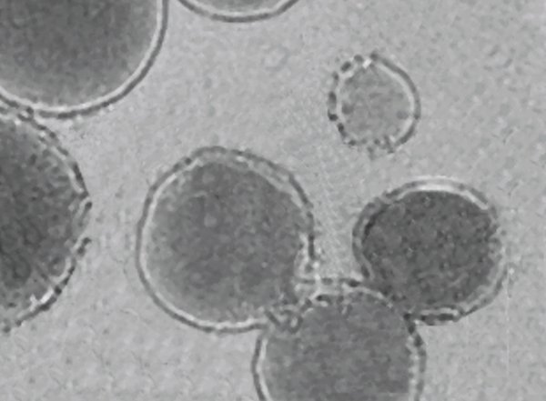 WeiGaoLab's tweet card. New technique for cell or drug delivery, localization of bioelectric materials, and wound healing uses ultrasound to activate printing within the body