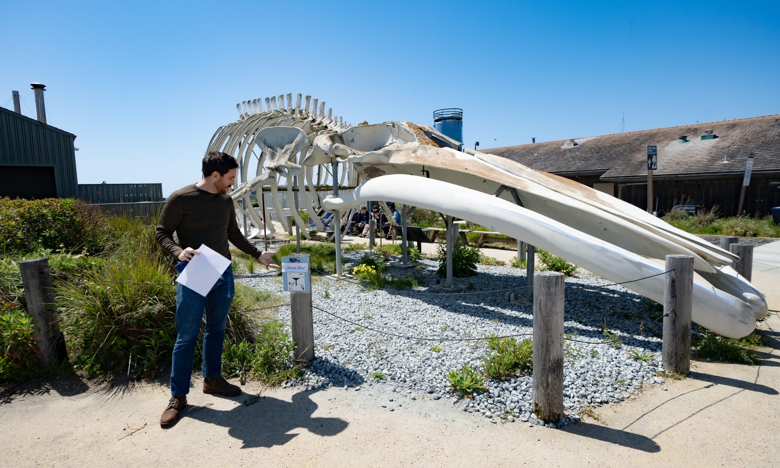 BaskinEng's tweet card. Scientists at UC Santa Cruz and local entrepreneurs are collaborating on a $350,000 restoration of the Seymour Center’s blue whale skeleton using innovative, eco-friendly techniques like shrimp-shell...