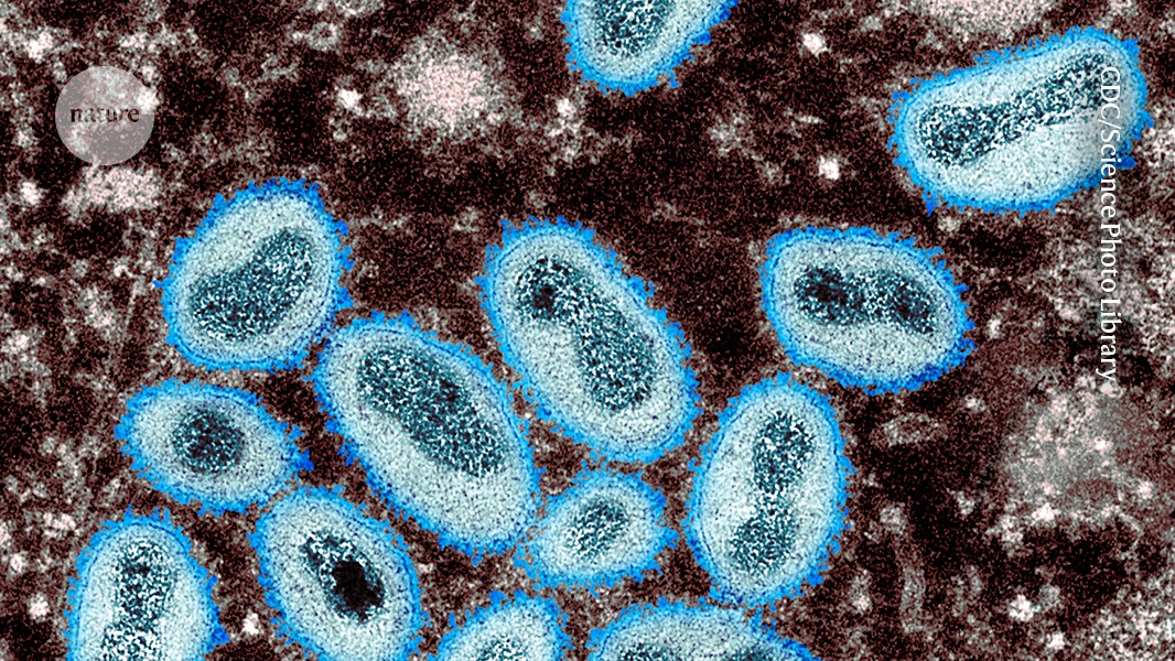 Sourish_SG's tweet card. Nature - Analysis of a clade Ia strain of the virus circulating in Central Africa shows genetic mutations indicative of sustained human-to-human spread.