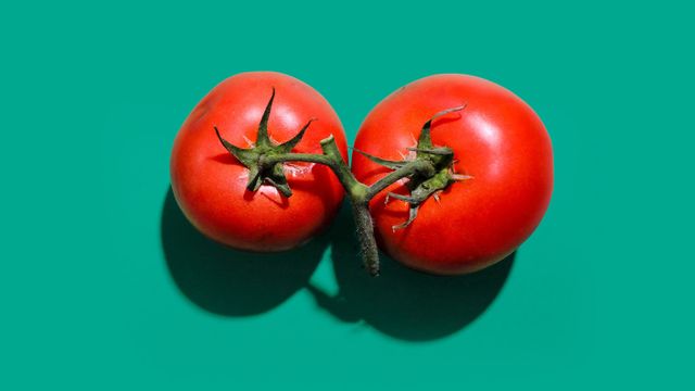 CRISPR_News's tweet card. Johns Hopkins and Cold Spring Harbor researchers discovered genes controlling fruit size in tomatoes and eggplants. Using CRISPR gene editing, they modified key genes to grow larger fruits.