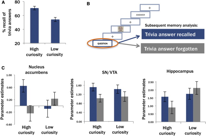 m_j_gruber's tweet card. Real-life learning is often motivated by intrinsic curiosity. Gruber et al. demonstrate that learning is enhanced during states of high curiosity, both for interesting material and for incidental,...