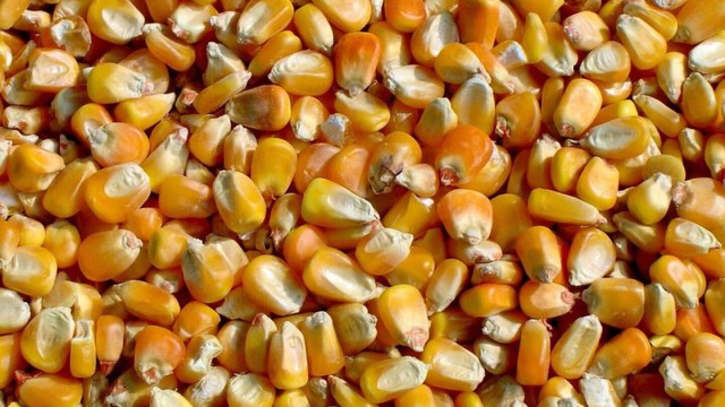 profarmer's tweet card. Market remains keyed in on U.S. weather, ignoring bigger picture