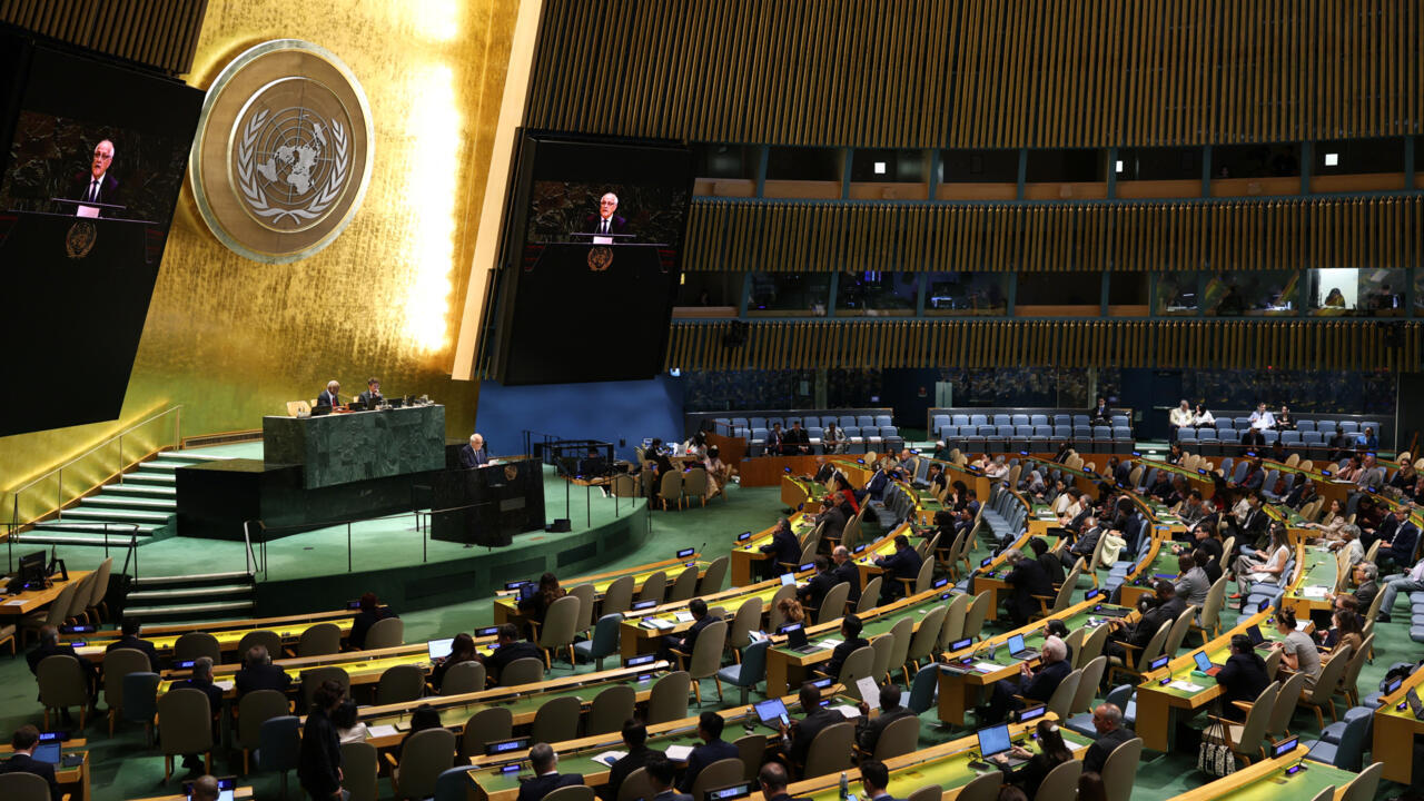 harryhagopian's tweet card. France and Saudi Arabia will co-chair a UN conference in New York from July 28-30 to revive stalled two-state solution talks between Israel and the Palestinians. Days ahead of the conference, French…