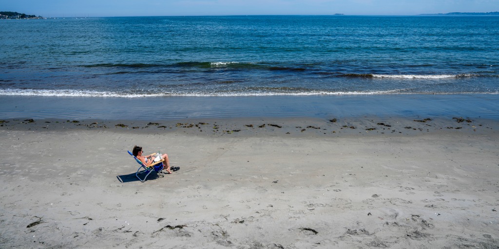 essie_uf's tweet card. At least six states have issued closures or advisories for certain beaches and lakes that have tested positive for above-safe levels of fecal bacteria.