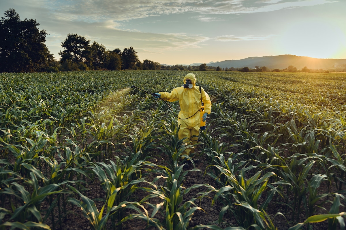 EcoWatch's tweet card. The chemical diquat, used in place of glyphosate in weedkillers in the U.S., has been found to damage organs and kill gut bacteria.