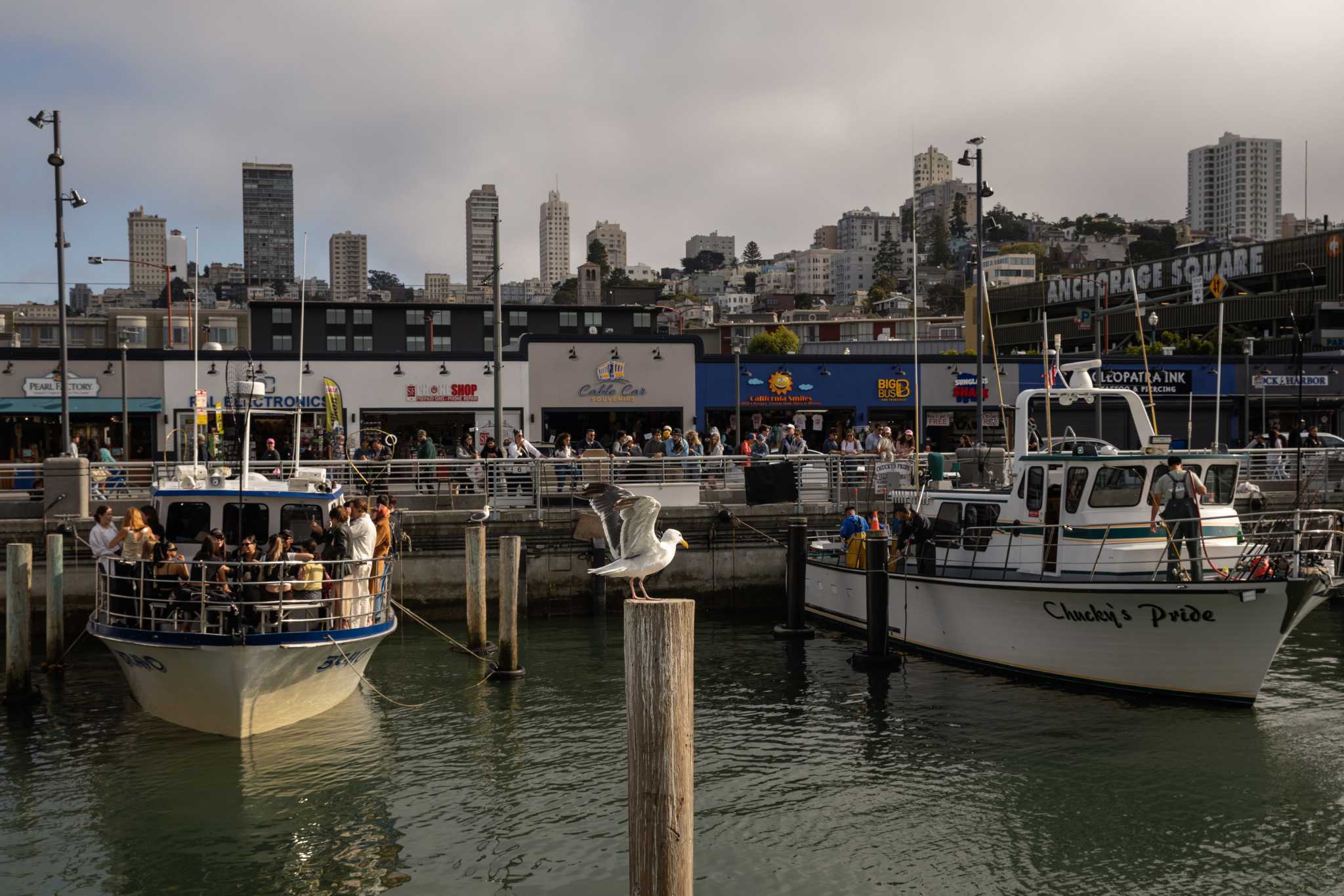 thejdmorris's tweet card. San Francisco Mayor Daniel Lurie’s latest proposal focuses on “high resource”...