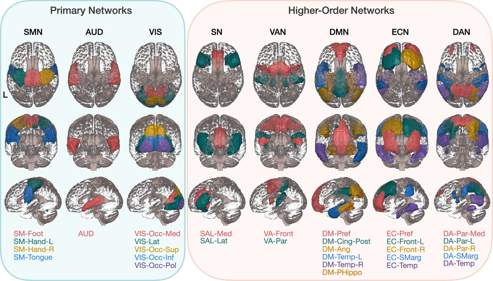 pt_yap's tweet card. Nature Communications - Using over 1,000 early childhood fMRI scans, the authors mapped cerebellocortical connectivity, revealing early integration with higher-order networks and age-related...