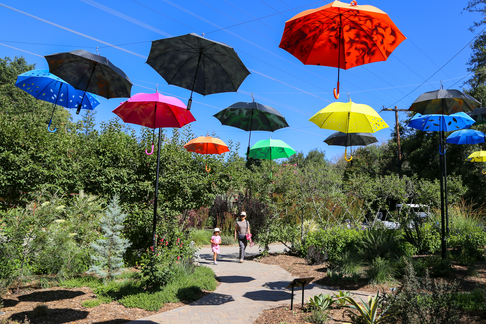 rsoventile's tweet card. Descanso Gardens Hosts an Art Exhibit on Trees, Shade and Urban Life.