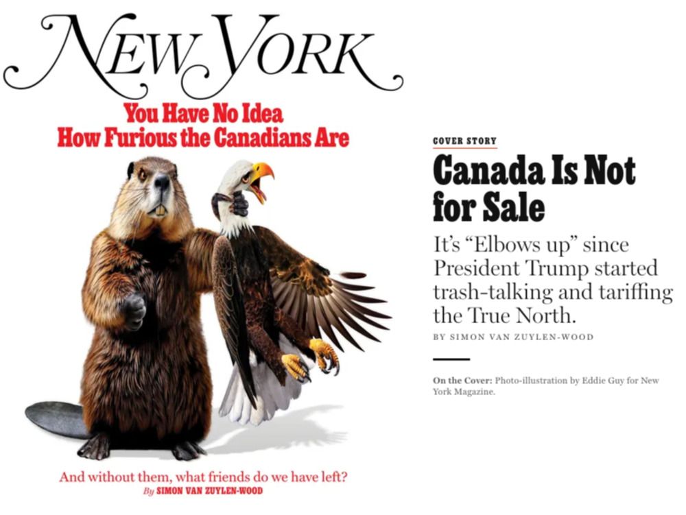 UncoverTheNews's tweet card. An American sent to Canada was shocked by how furious Canadians are at the U.S.