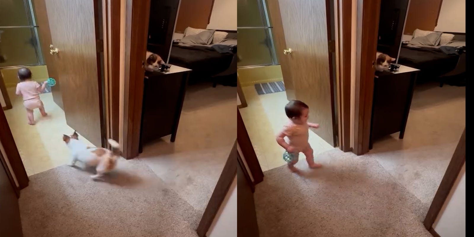 MGMAdvertiser's tweet card. When this 9-month-old and her Jack Russell Terrier begin their adorable daily ritual, the room instantly fills with giggles and pure joy!