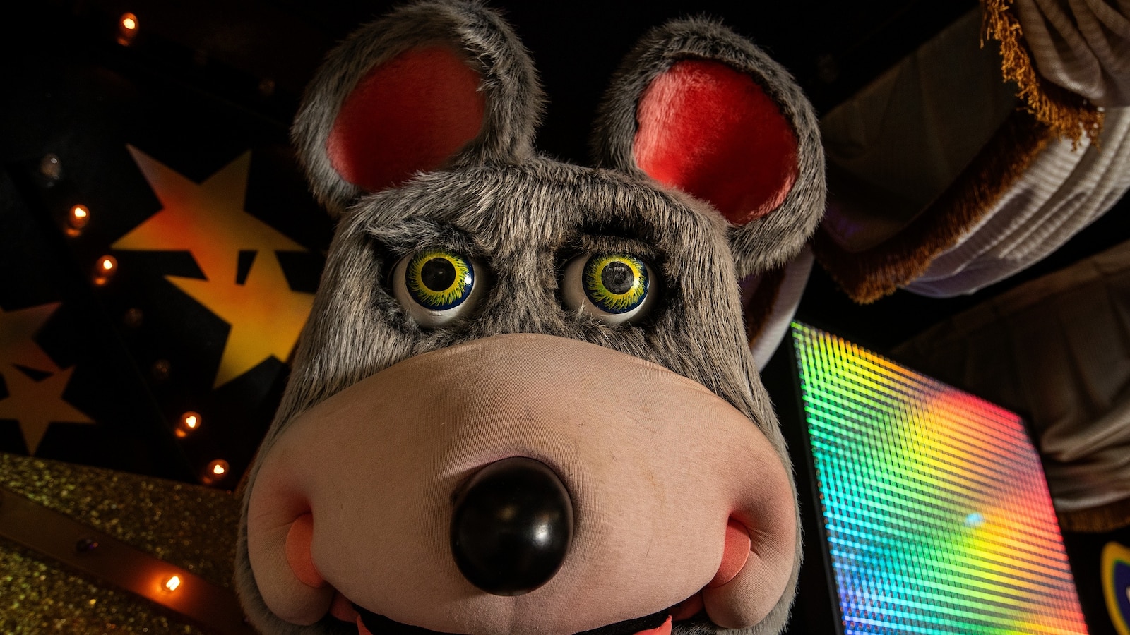 PeakSeattle's tweet card. A Chuck E. Cheese's mascot has been arrested in Florida after a customer ratted him out as an alleged thief, police said.