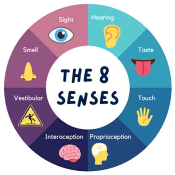 fragilexuk's tweet card. Alison Field, our Families & Professional Advisor, has authored this blog containing sensory information and references that she believes will be beneficial.Children with Fragile X Syndrome can find...
