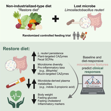 JensWalter15's tweet card. Is it possible to restore the human gut microbiome in industrialized settings and reintroduce microbial species that have been lost? In healthy adults, Li et al. found that consuming a diet mimicking...