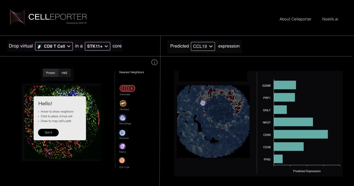 Yubin_Xie's tweet card. Celleporter is a simulator of spatial biology that predicts gene expression patterns for virtual cells embedded in patient tissue samples.