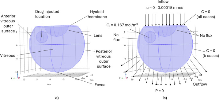 FordVersyptLab's tweet card. Age-related macular degeneration (AMD) is a progressive eye disease that causes loss of central vision and has no cure. Wet AMD is the late neovascular form treated with vascular endothelial growth...