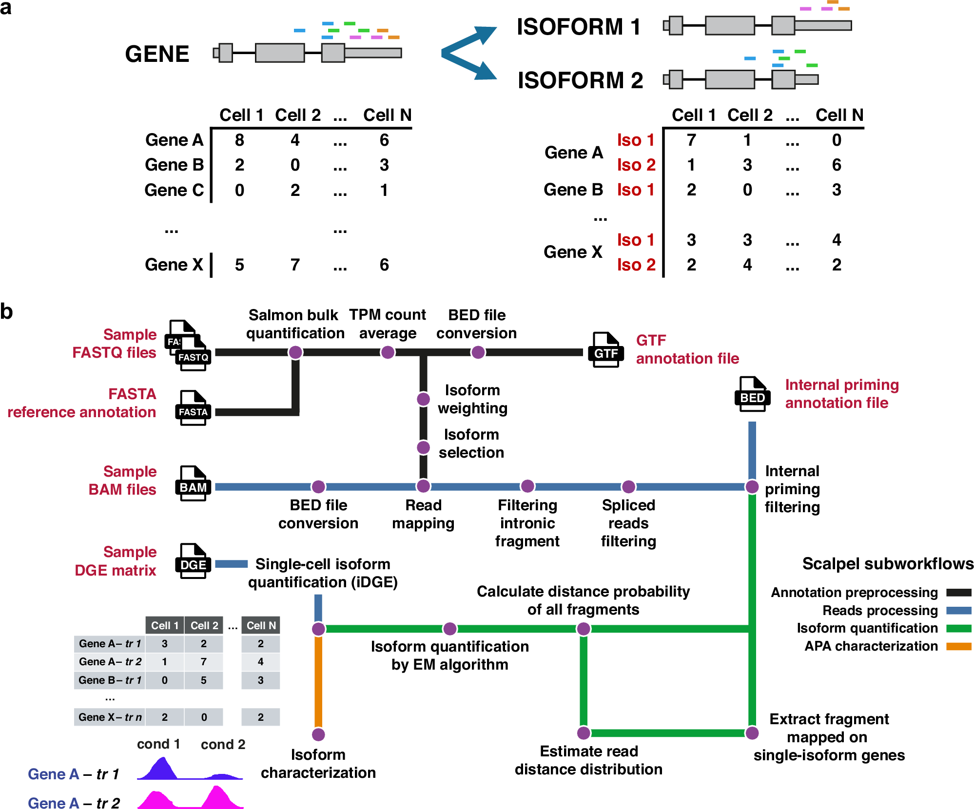 miriplass's tweet card. Nature Communications - Single-cell RNA-seq facilitates the study of transcriptome diversity in individual cells. Here, authors introduce a tool for isoform quantification at the single-cell level...