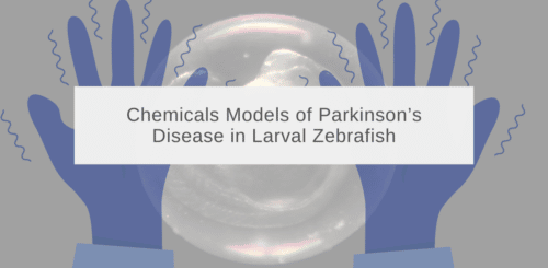 invivobiosystem's tweet card. Understand the advantages of zebrafish models in Parkinson's Disease research and their homology to the human nervous system. Read more!