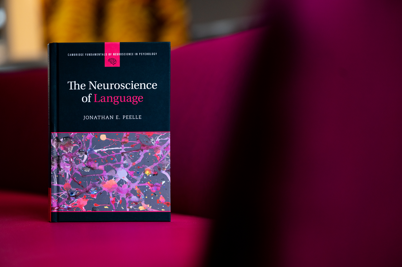 NortheasternCOS's tweet card. In his new book, “The Neuroscience of Language,” professor Jonathan Peelle writes about how the brain supports communication.