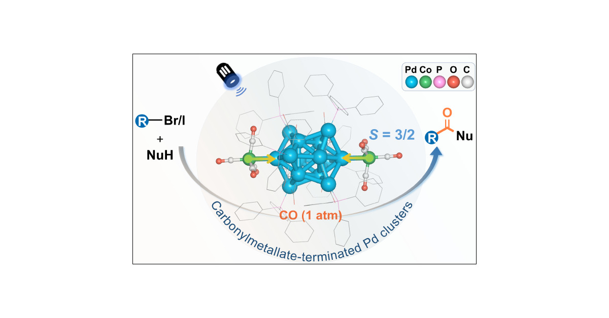 J_A_C_S's tweet card. Palladium nanoclusters (Pd NCs) hold great promise in organic synthesis; however their controlled synthesis via direct reduction remains challenging due to kinetically favored formation of nanopart...