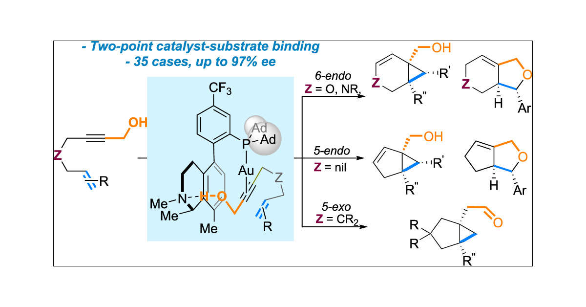 J_A_C_S's tweet card. Despite successes in achieving asymmetric induction in enyne cycloisomerization, few systems are applicable to each of the typical 6-endo, 5-exo, and 5-endo cyclization/cycloisomerization modes. By...