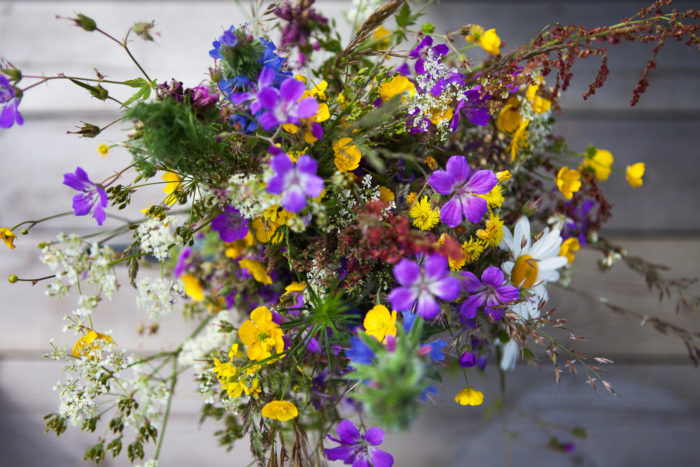 thisisFINLAND's tweet card. An American recounts his many colourful memories of Midsummer in Finland, from heavy metal bands to seaside bonfires, and from barbecues to mosquito bites.