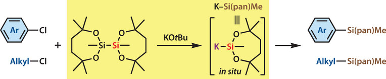 yorimitsu_lab's tweet card. This study reveals a facile silylation protocol that enables the delivery of a stable and activatable dioxasilepanyl group, Si(pan)Me, to aryl and alkyl chlorides. Of note is the X-ray structure of...