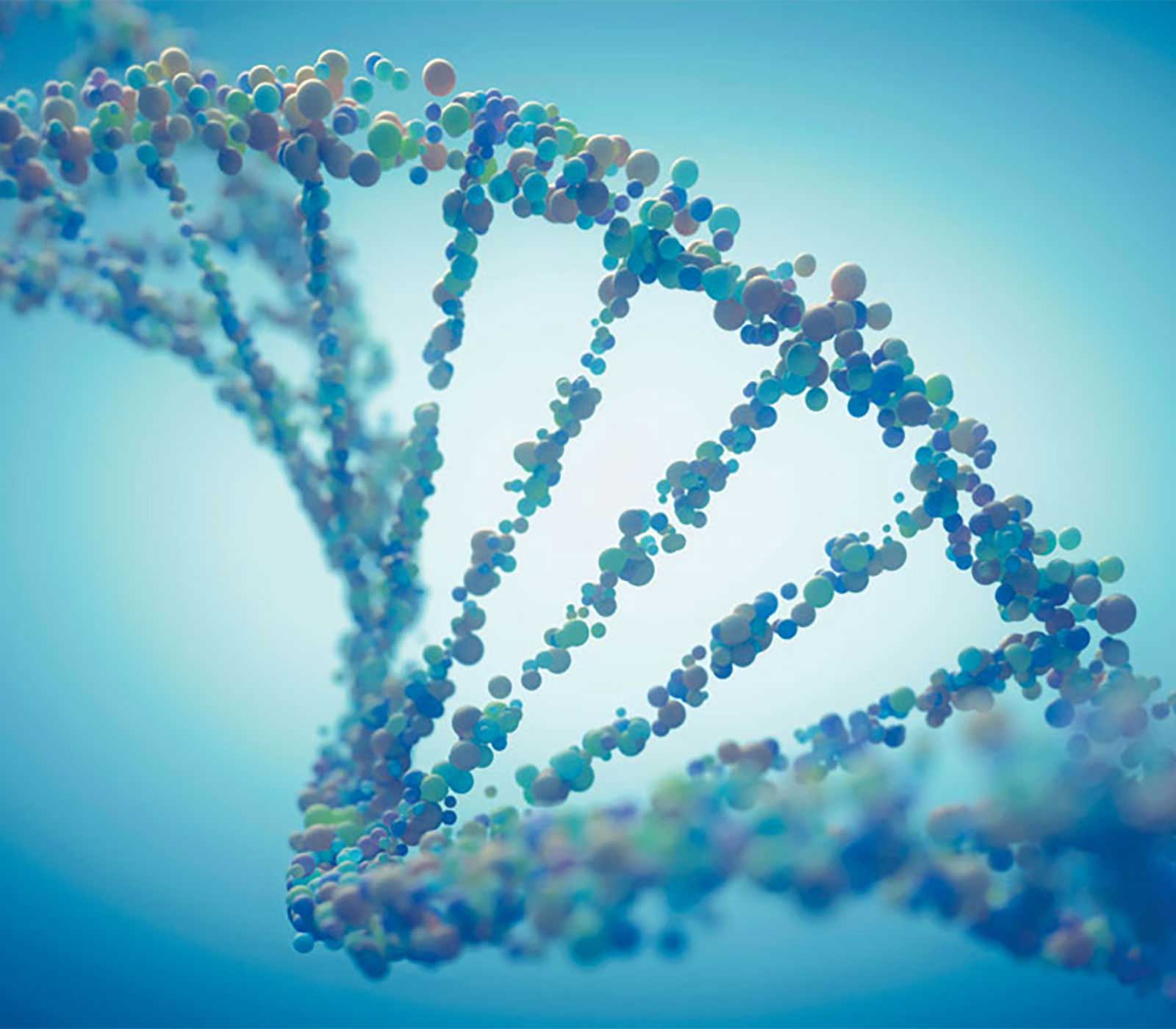 MethylDetect's tweet card. Lise Lotte Hansen, Ph.D. | Co-Founder | MethylDetect ApSHartmut B.F. Pohl, Ph.D. | Application Scientist | Enzo Life Sciences INTRODUCTION Methylation of mammalian cell DNA is an intensely studied,...