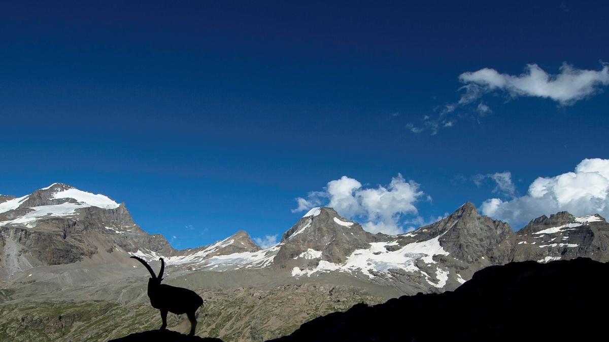 CorriereTorino's tweet card. L’estate chiama la natura, e il Piemonte è terra di grandi spettacoli naturali, tra montagne e boschi, oasi e parchi naturali. Le idee per fuggire dal caos urbano e dal caldo a piedi, a cavallo o in...