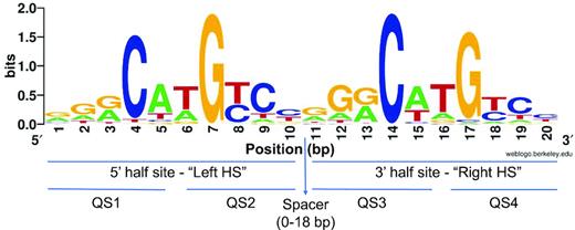 alberto_inga's tweet card. Abstract. Sequence-specific protein-DNA interactions are at the heart of the response of the tumor-suppressor p53 to numerous physiological and stress-rela