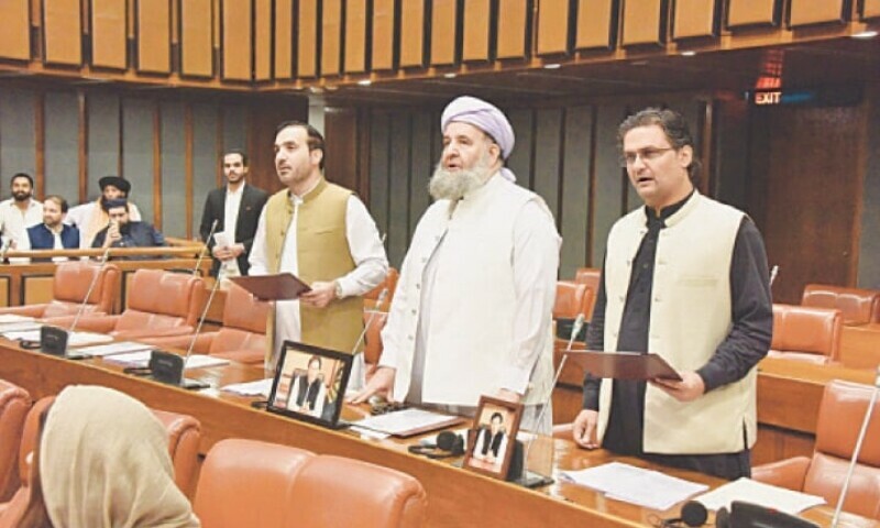 SRehmanOffice's tweet card. Senate declares that so-called honour killings are not “honourable”, rather constitute murder under the law and must be prosecuted as such.